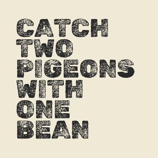Catch two pigeons - t-shirt
